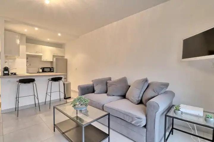 Appartement proche des Plages et du Palais Apartment in Cannes