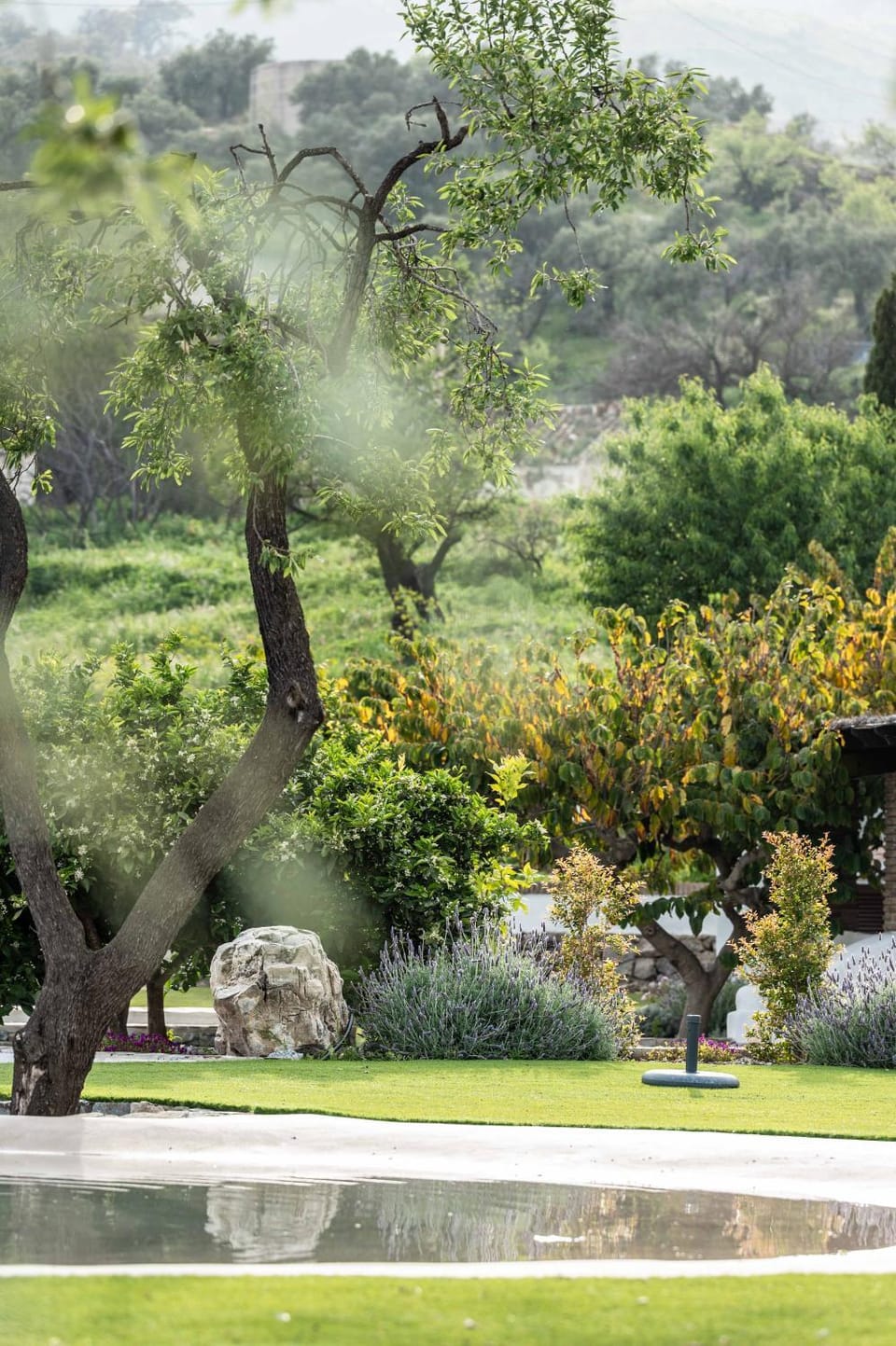 Day, Natural landscape, Garden, Garden view