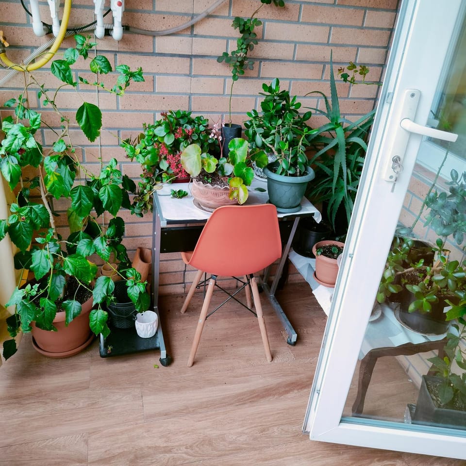 Balcony/Terrace