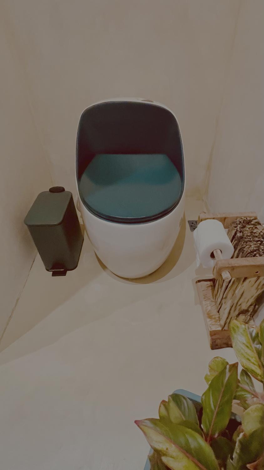 Toilet, Decorative detail