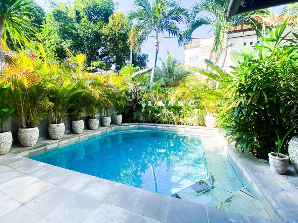 Natural landscape, Garden, Garden view, Pool view, Swimming pool