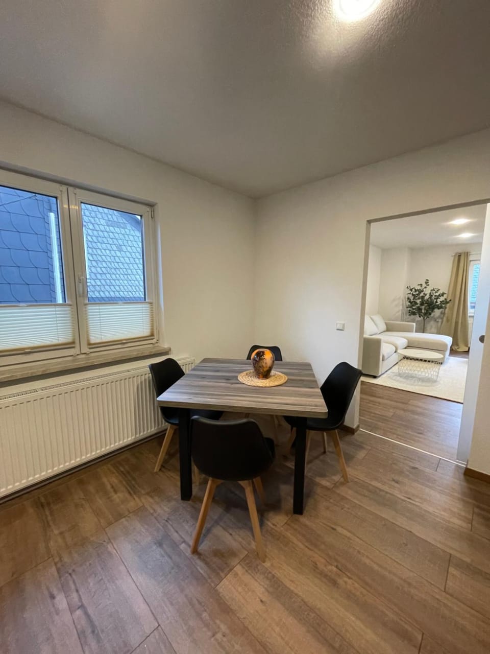 Elise Apartment in Thuringia, Germany