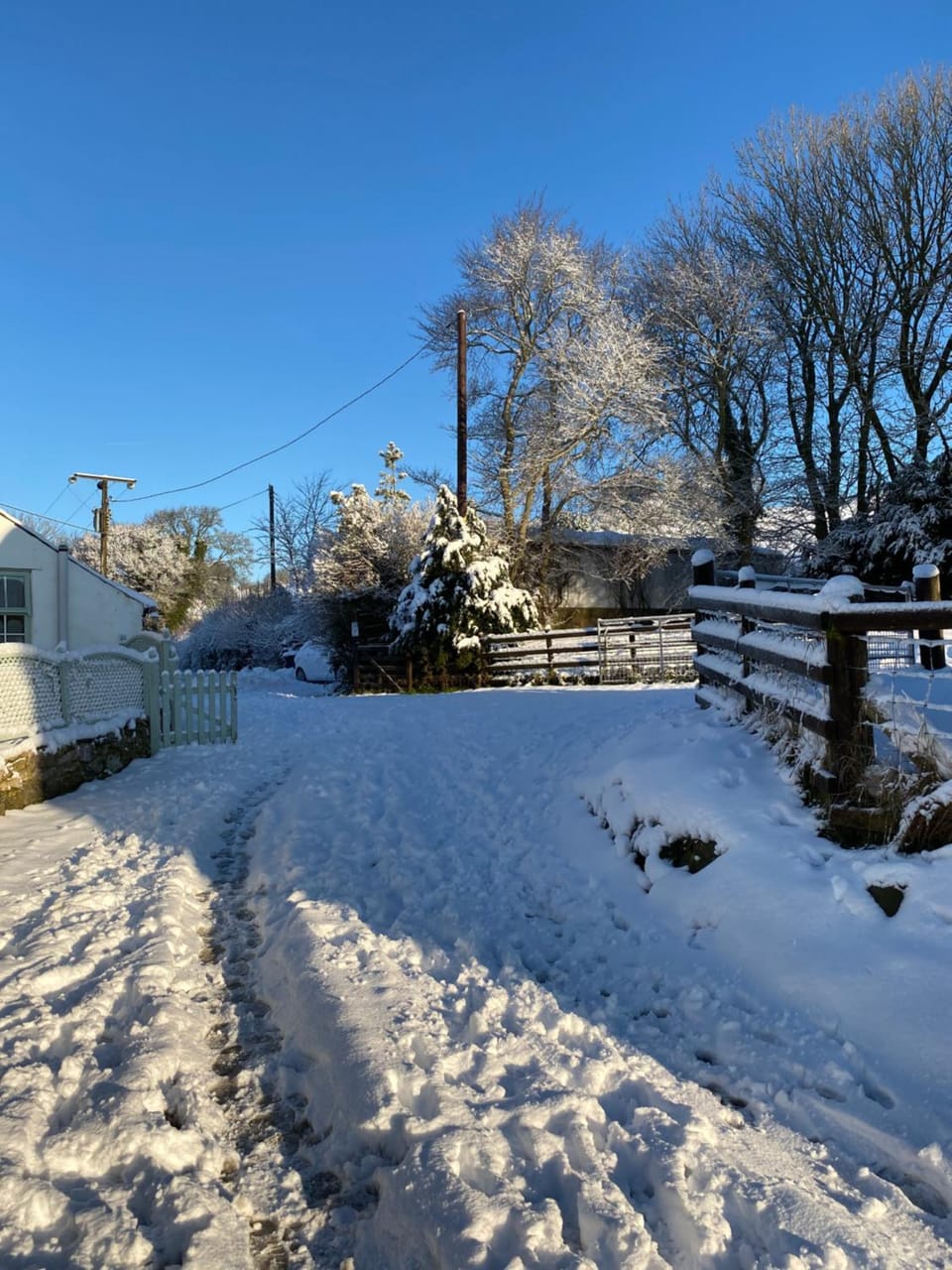 Winter