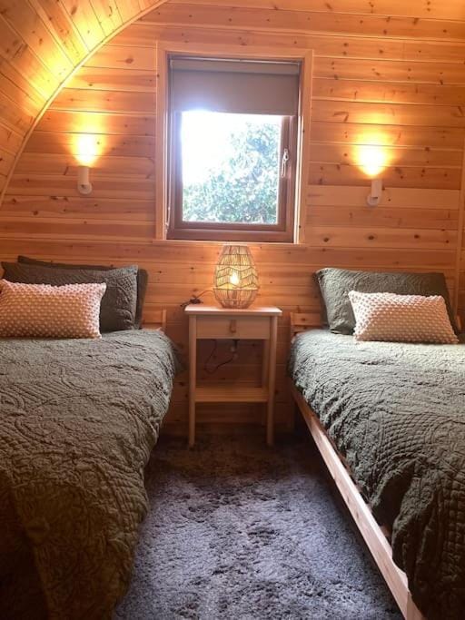 Eco-friendly Cabins Cabin 3 Cabin in Newark and Sherwood District