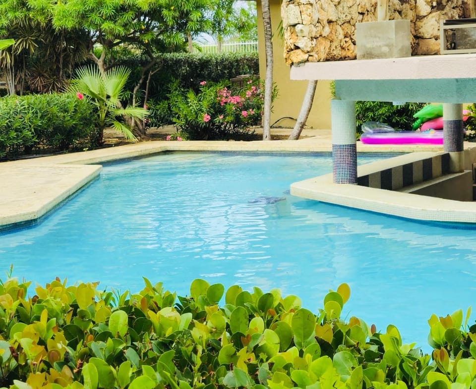 Pool view, Swimming pool