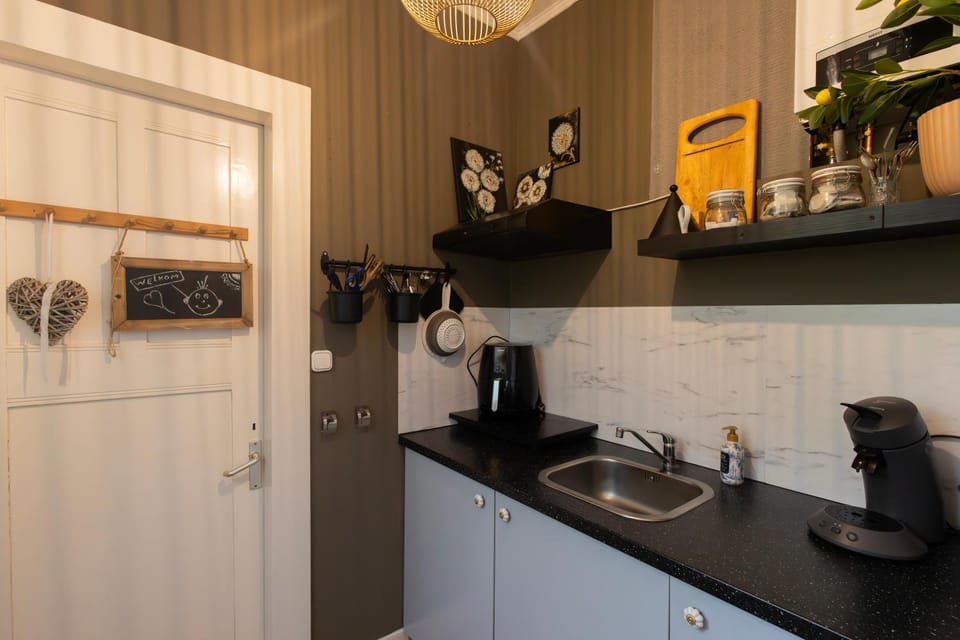 Kitchen or kitchenette, kitchen
