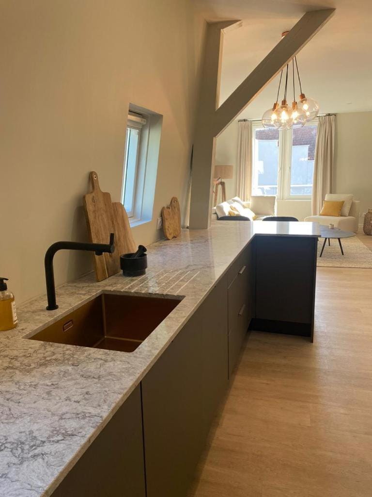 Chez Alexine Apartment in Reims