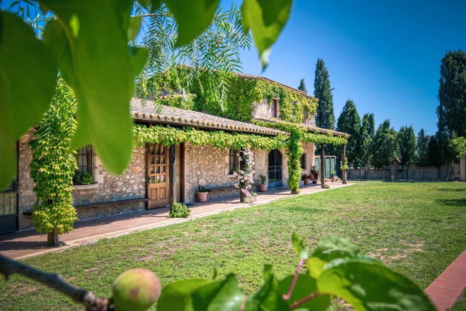 Patio, Garden, Garden view