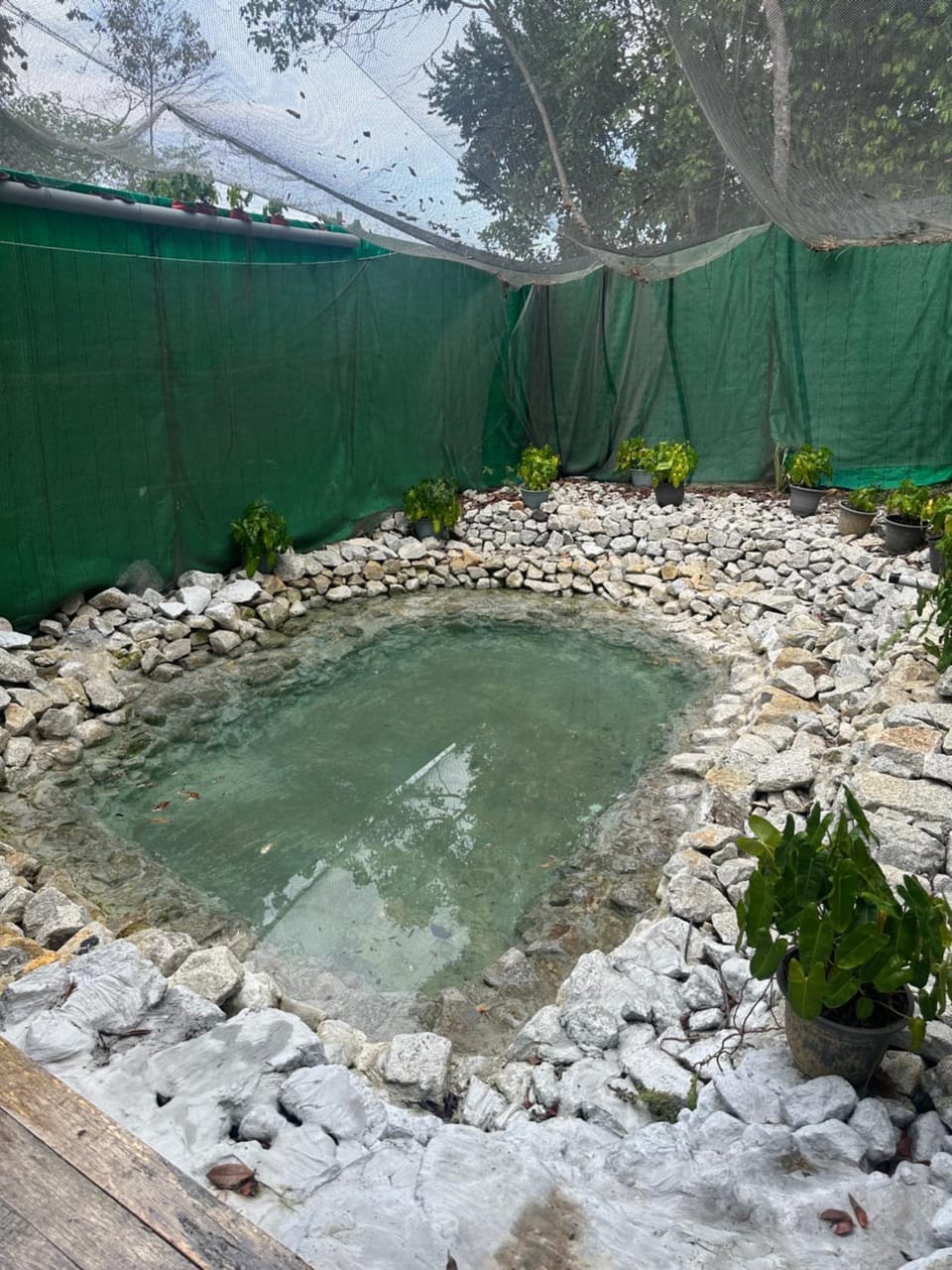 Woodcookies Guesthouse Country House in Perak