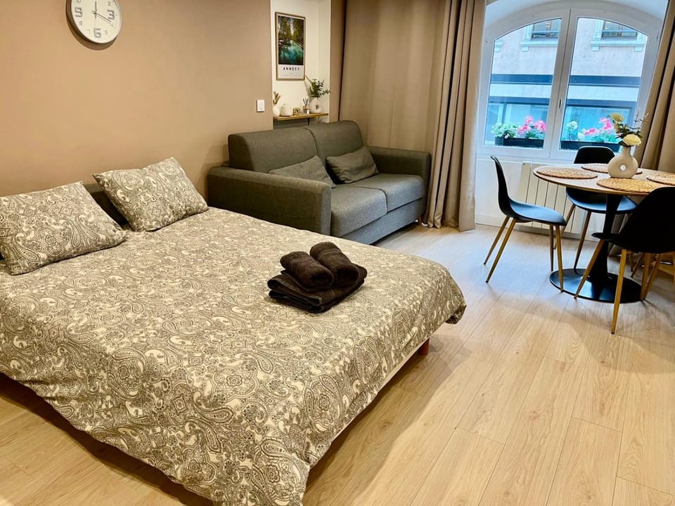 Allée Royale Apartment in Annecy