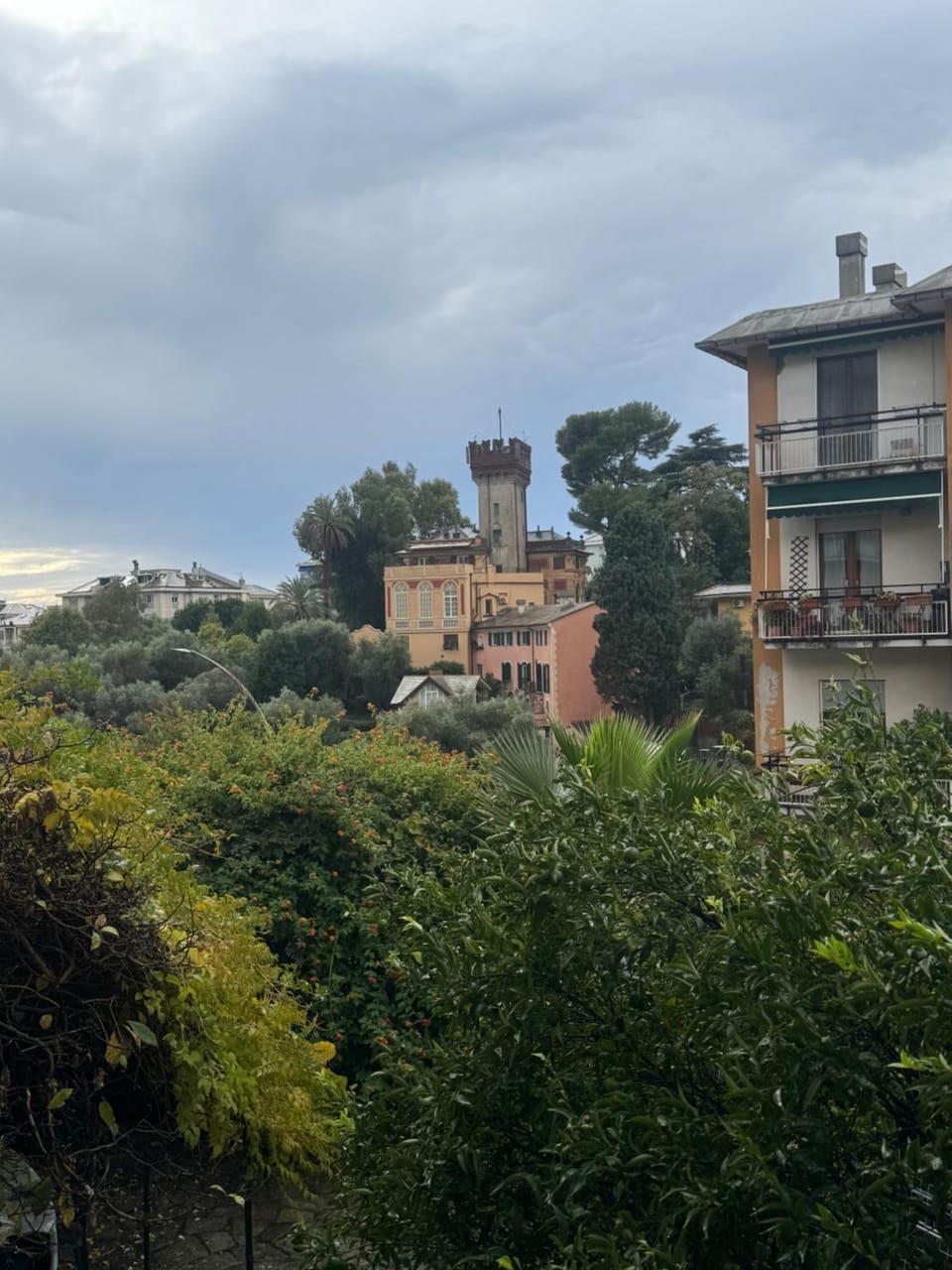 View (from property/room)