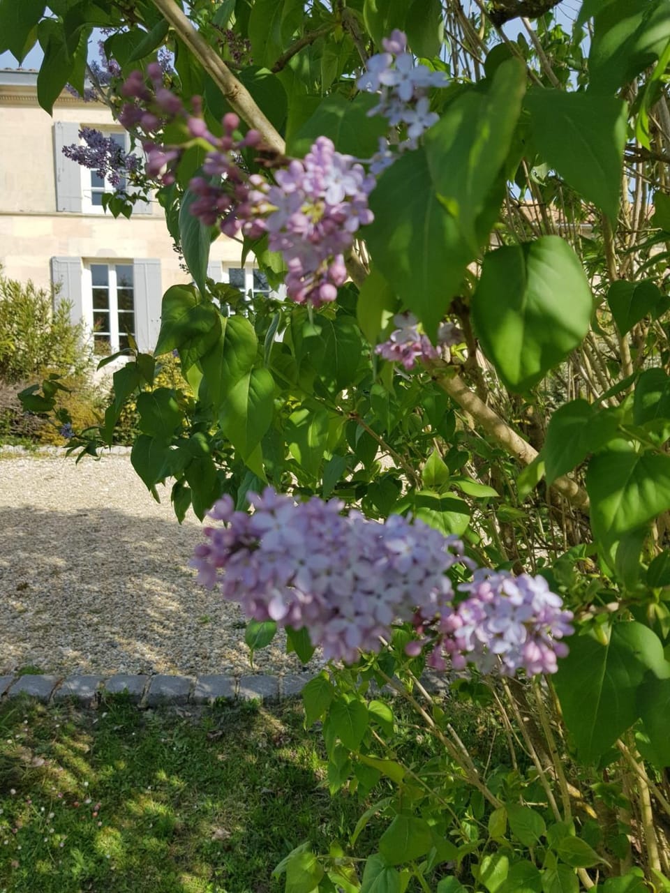 Facade/entrance, Spring, Garden view