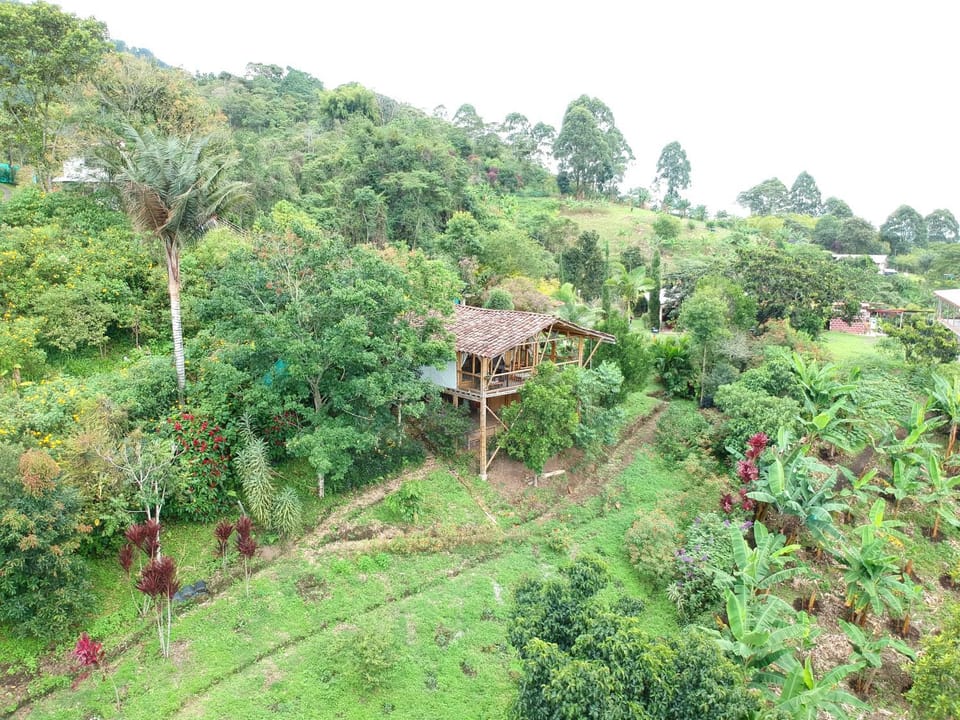 Natural landscape, Garden