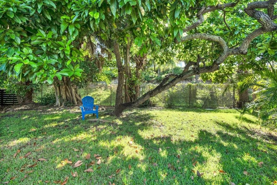 Garden view