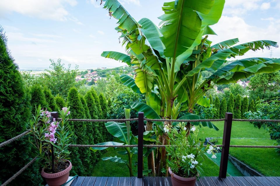 Garden, View (from property/room), Garden view