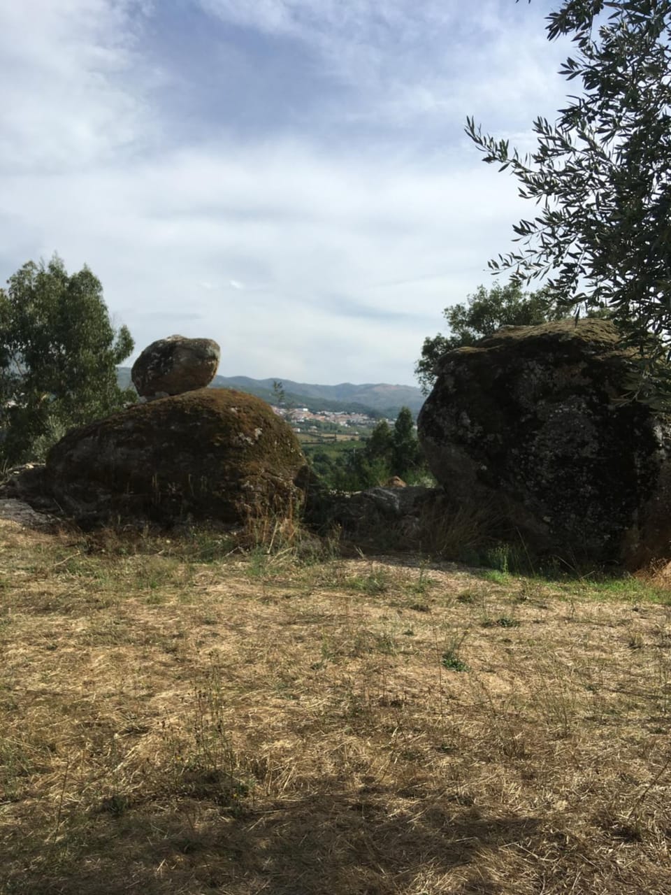 Natural landscape