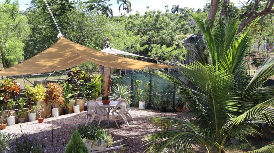 Garden, Breakfast