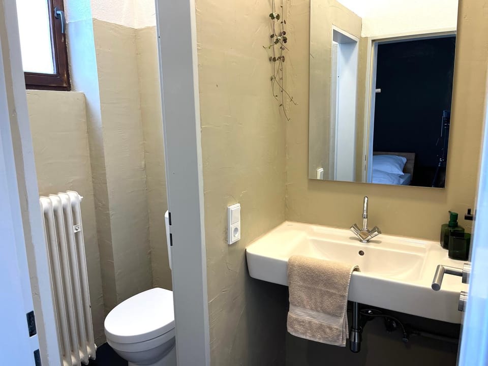 Toilet, Bathroom, towels