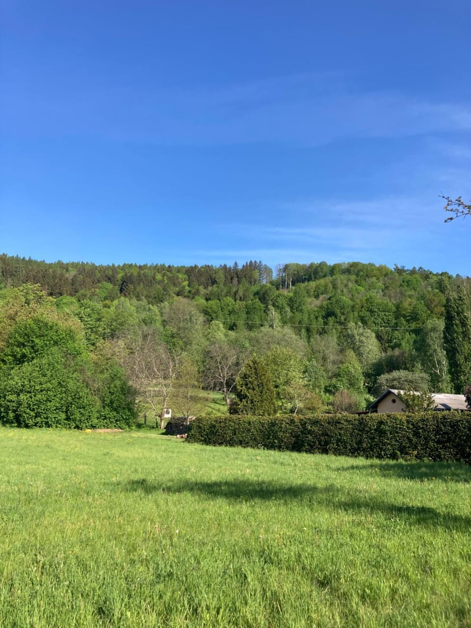 Natural landscape