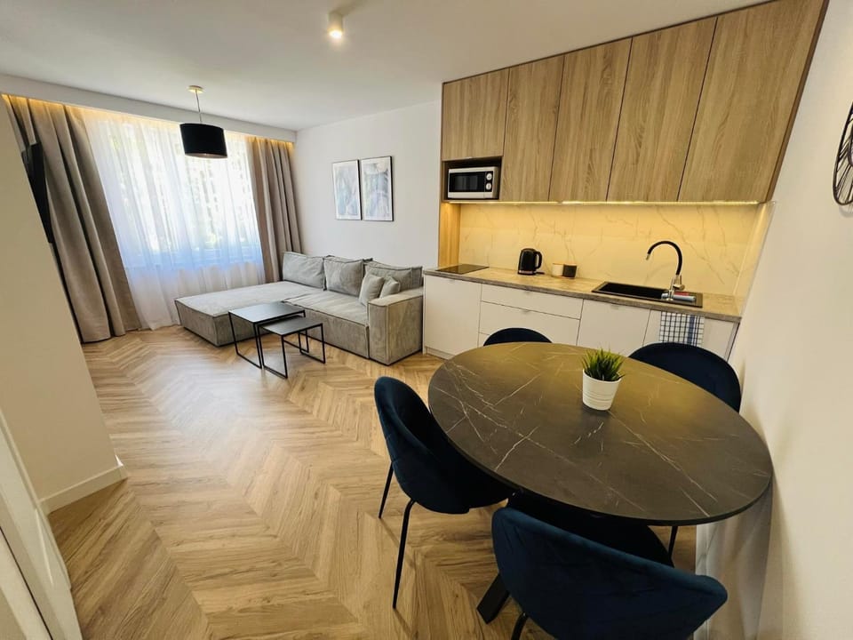 Bed, TV and multimedia, Kitchen or kitchenette, Living room, Photo of the whole room, Seating area, Dining area, Bedroom