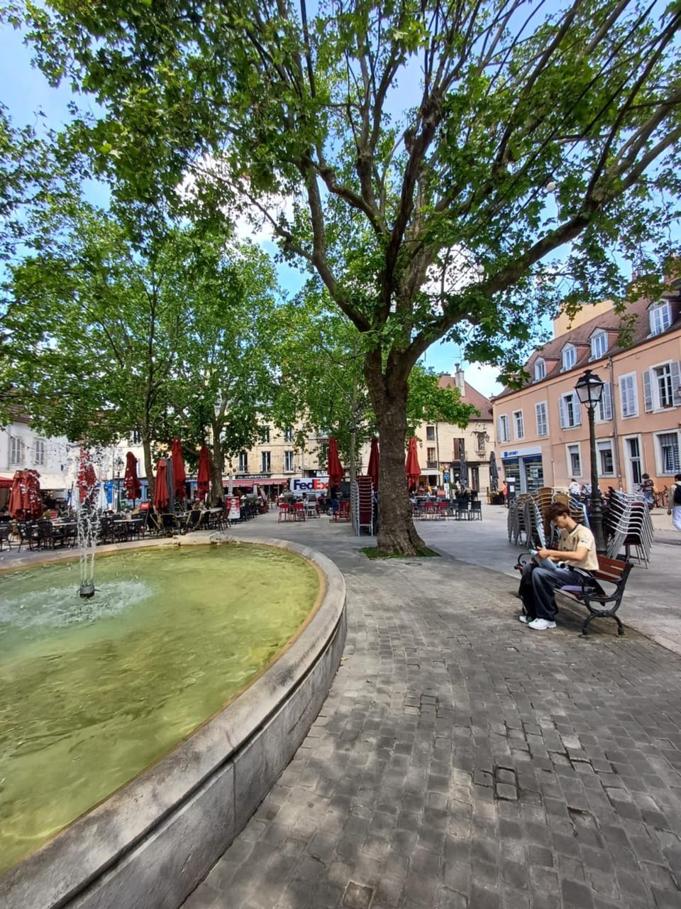 *Monge Zola* Apartment in Dijon