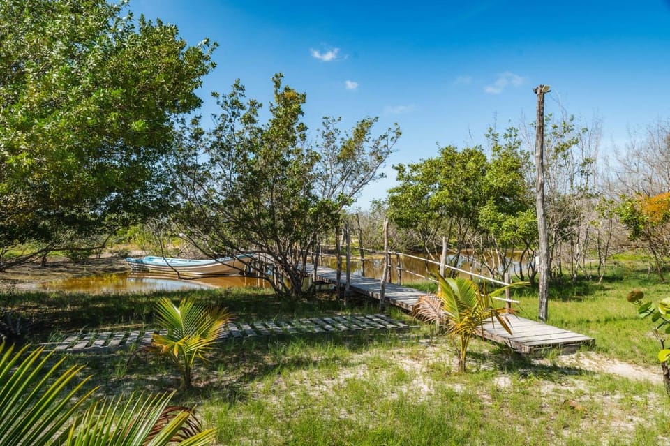 Natural landscape, Garden view, River view