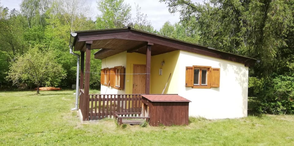 Property building, Spring, Day, Garden