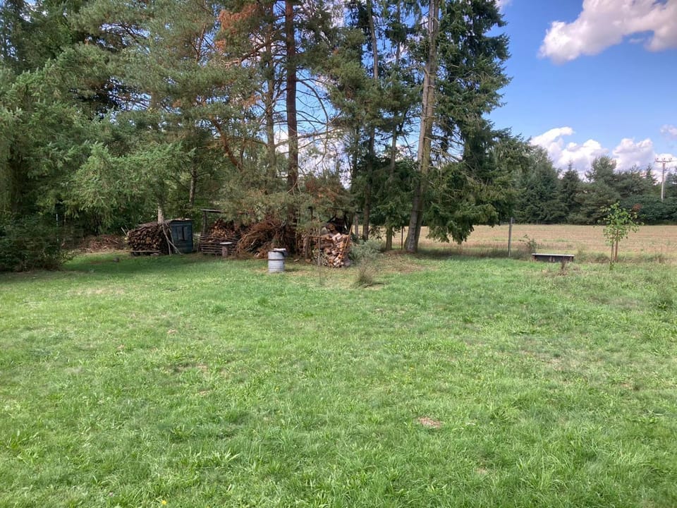 Spring, Day, Garden, Garden view