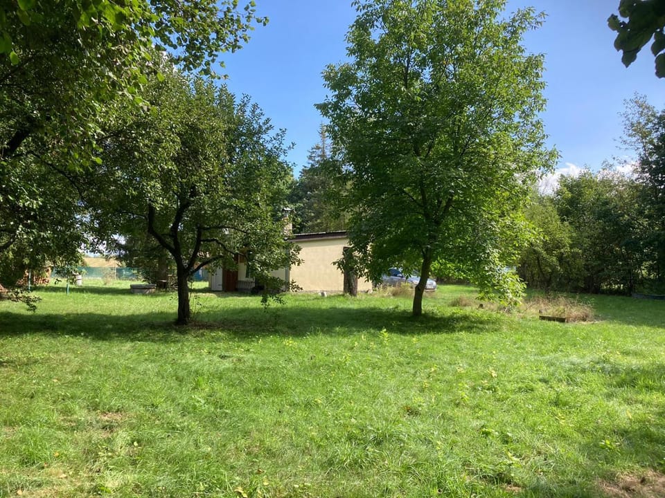 Spring, Day, Garden