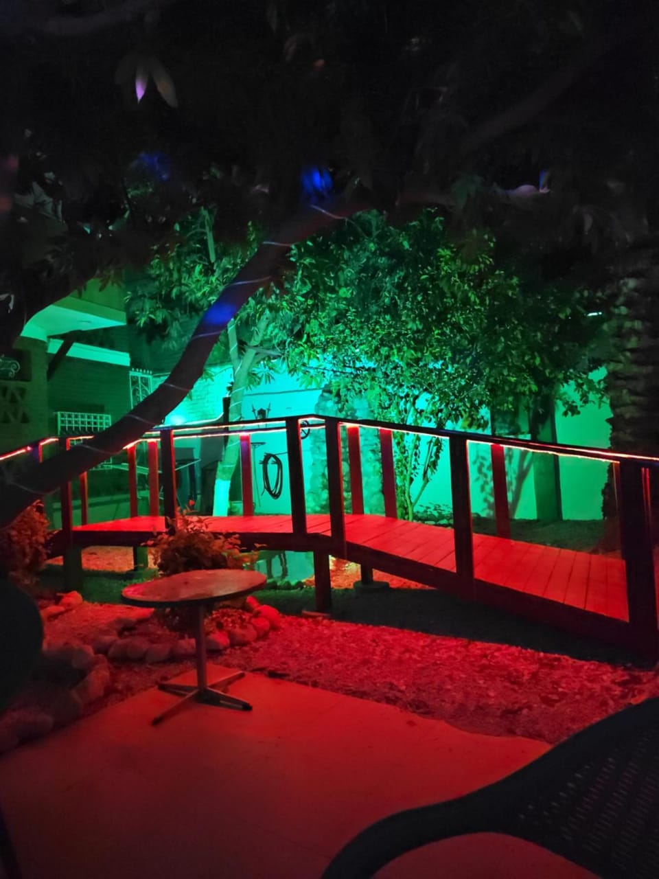 Night, Garden