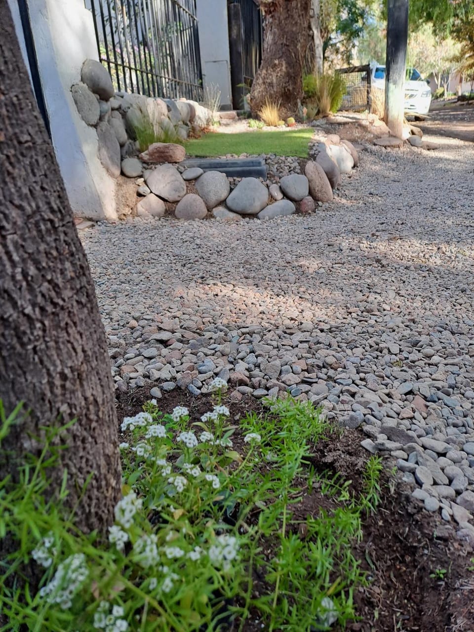 Garden view