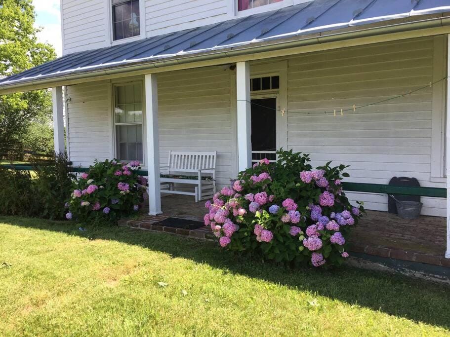 Property building, Spring, Garden