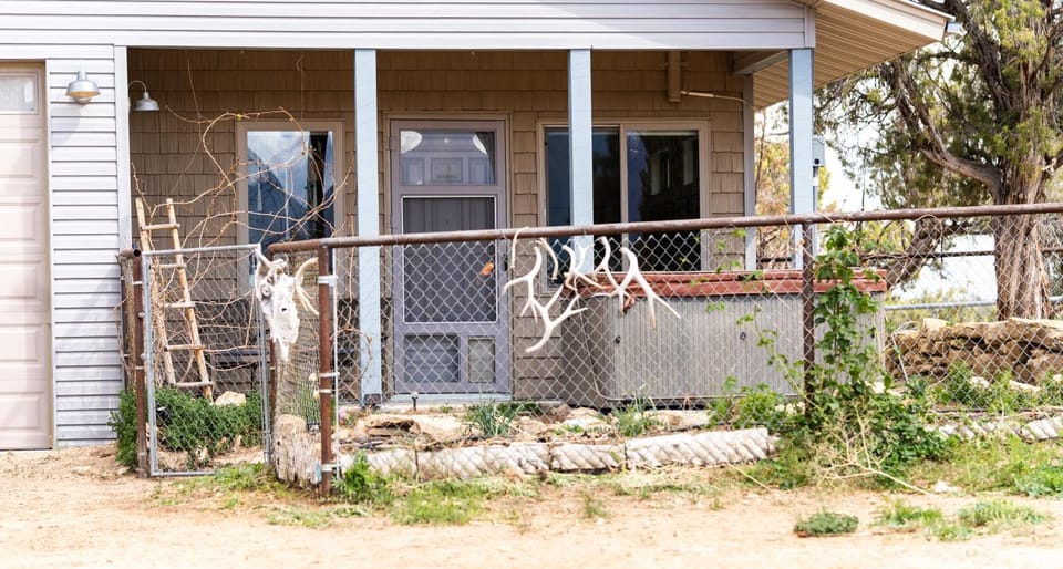 Property building, Spring, Day, Garden, Garden view