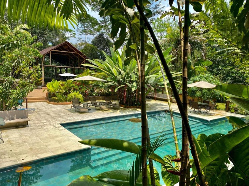 Spring, Day, Natural landscape, Garden, Garden view, Pool view, sunbed