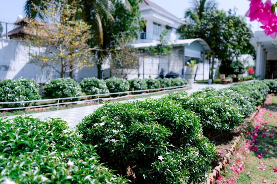 Day, Garden