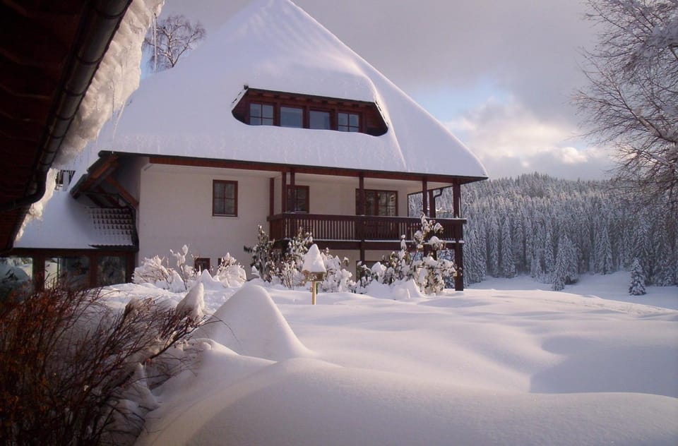Ferienclub Erlenbruck Apartment in Hinterzarten