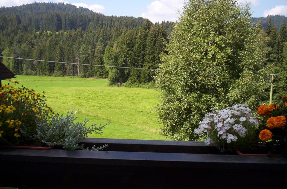 Ferienclub Erlenbruck Apartment in Hinterzarten
