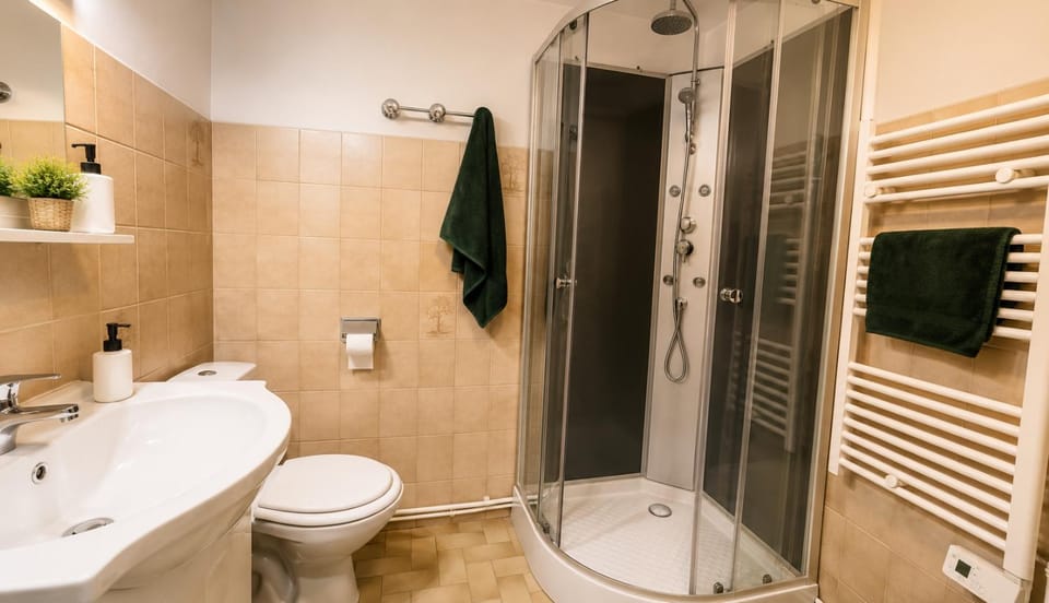 Shower, Toilet, Bathroom, towels