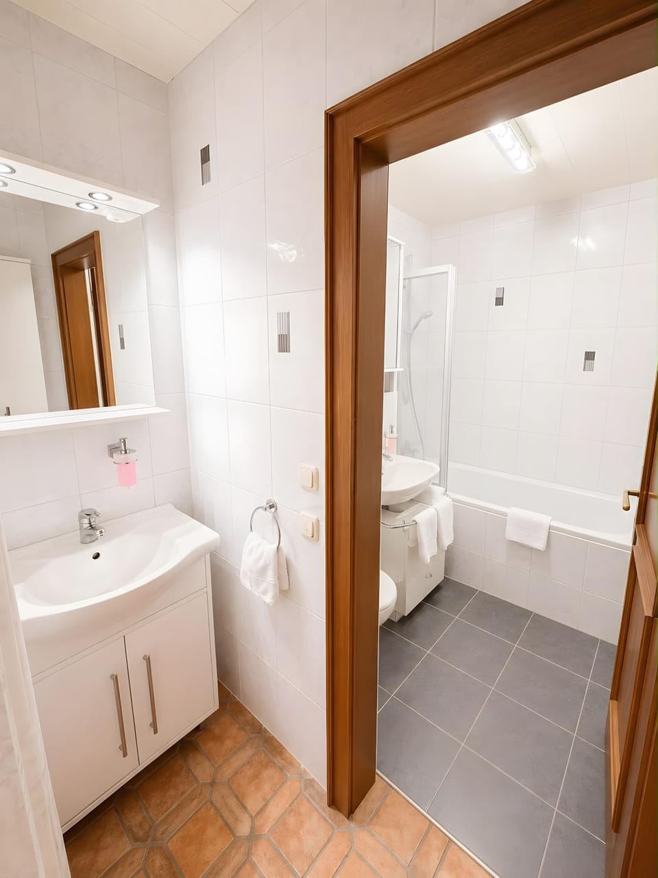 Bathroom, Living room