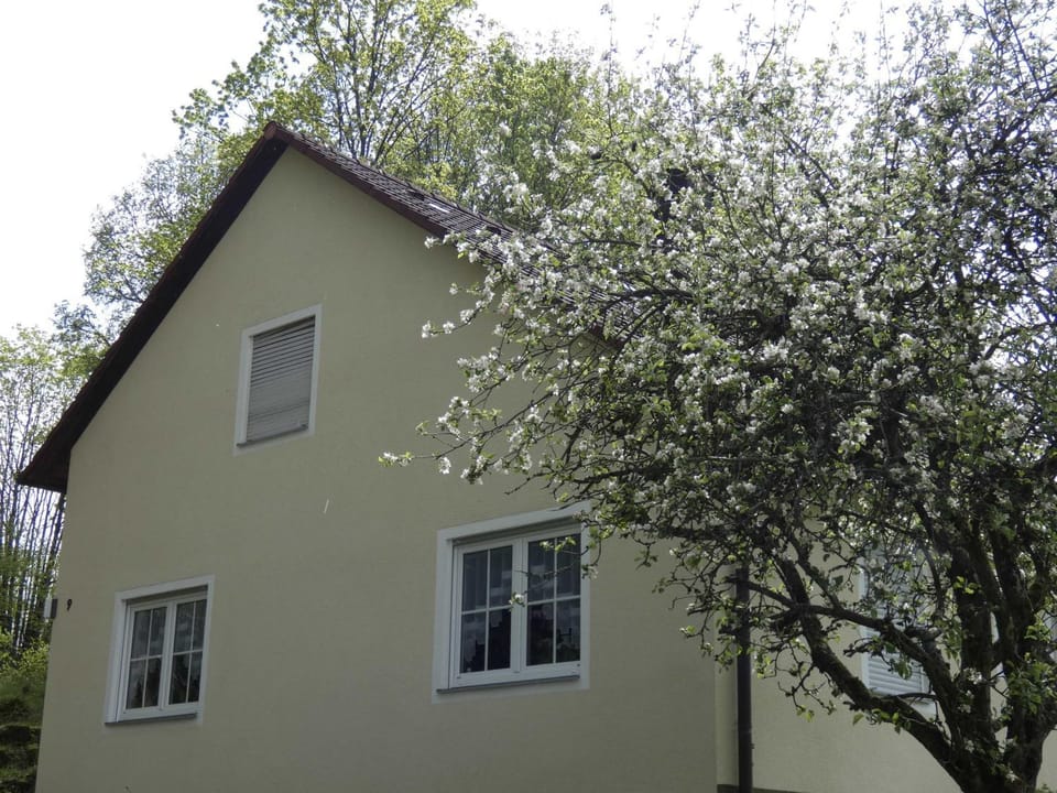 Property building, Spring, Day, Garden