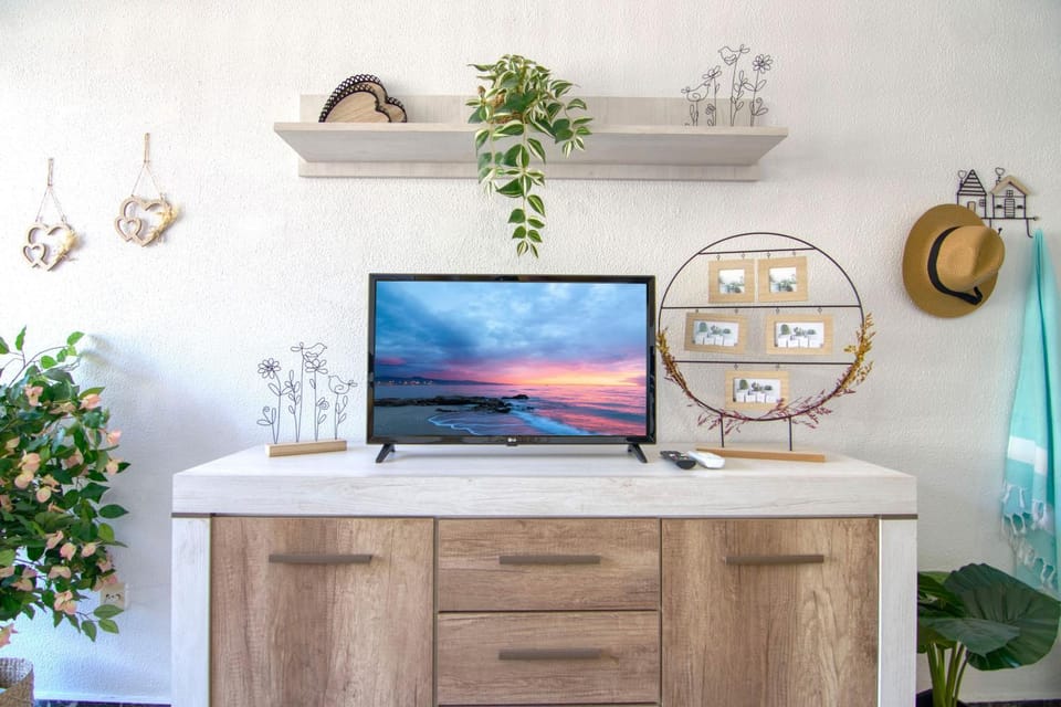 TV and multimedia