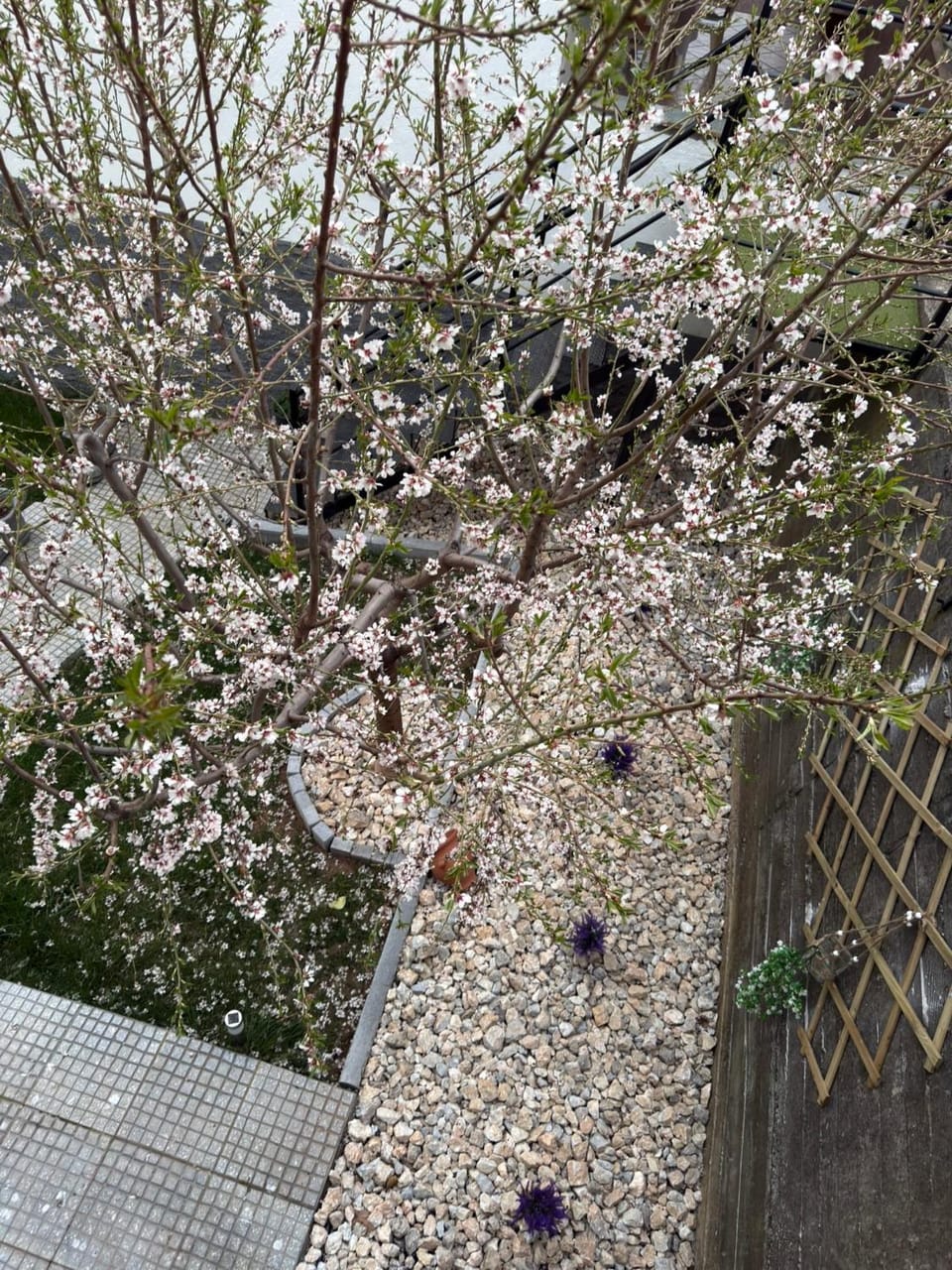 Elatovillage Apartment in Pieria, Greece