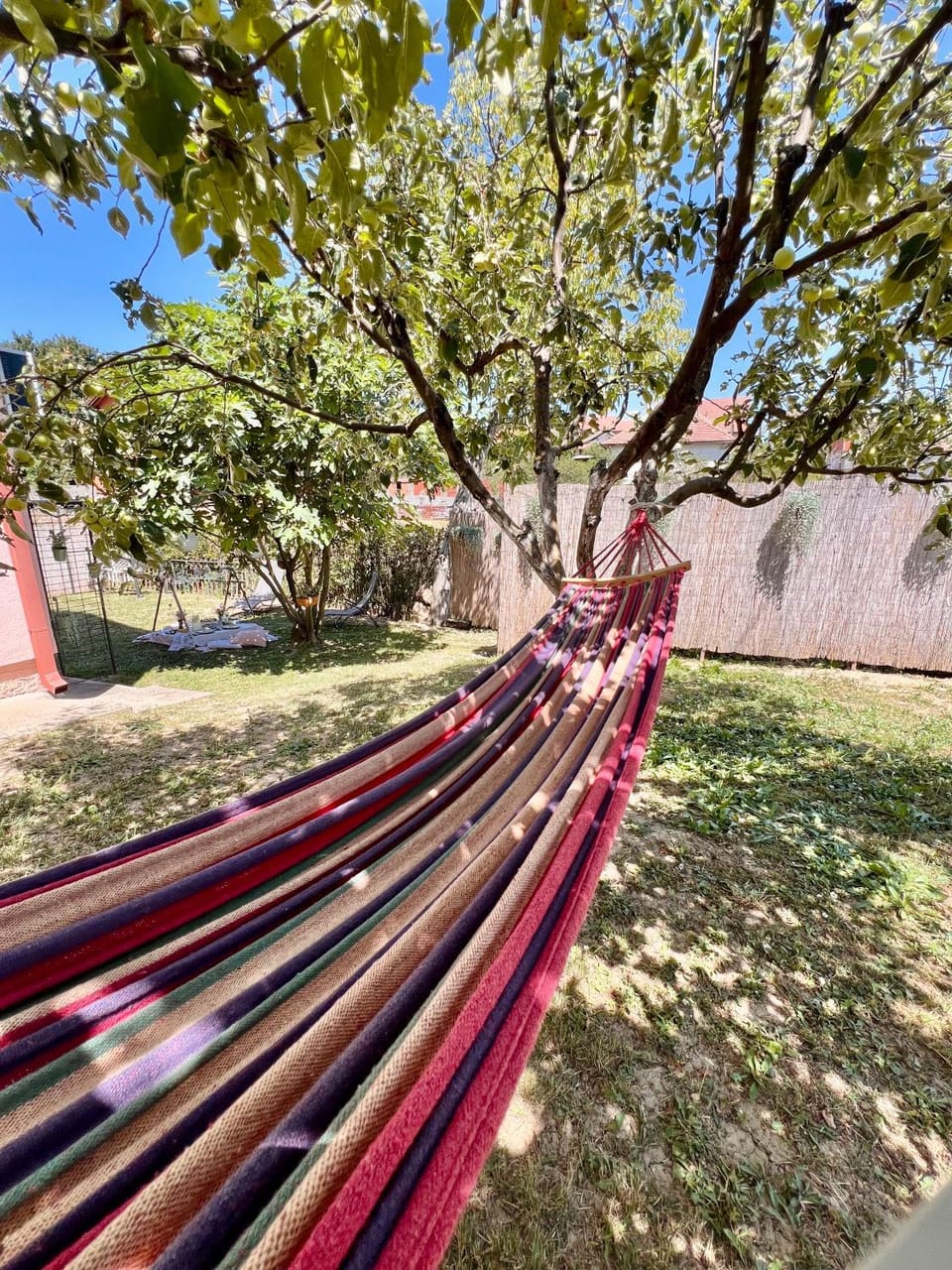 Spring, Day, Natural landscape, Garden, Garden view