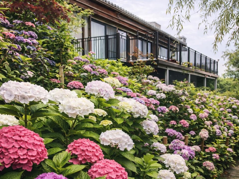 Property building, Day, Garden, Garden view