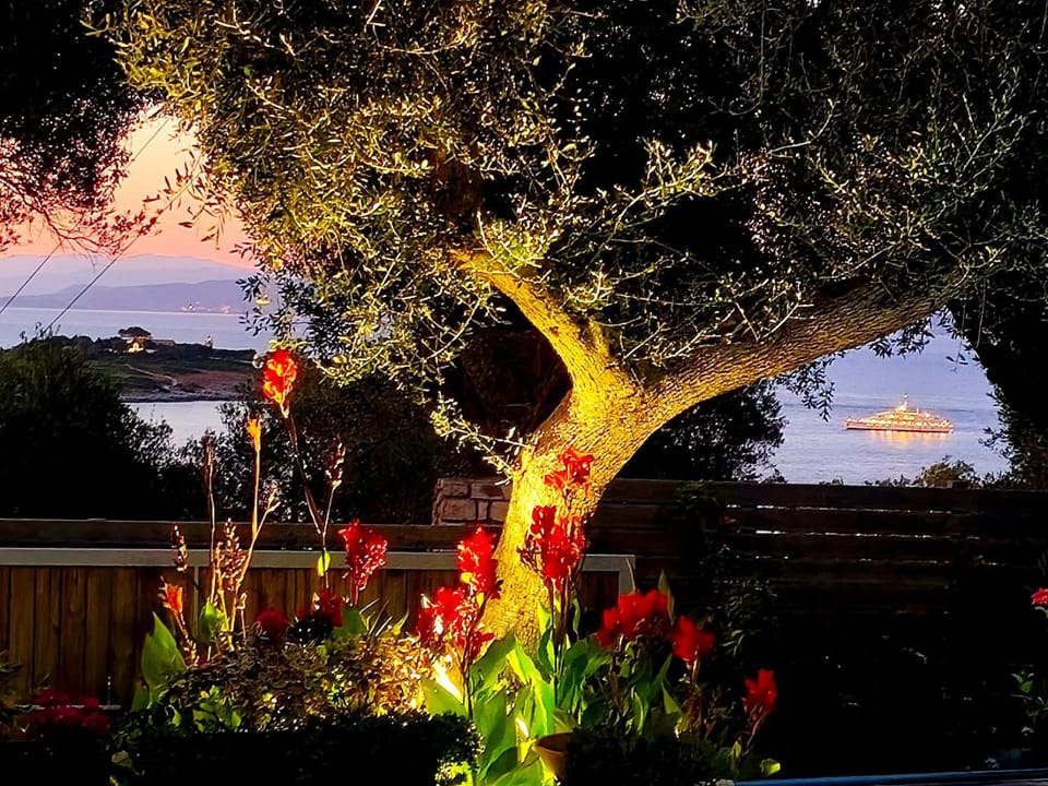 Garden view, Sunset