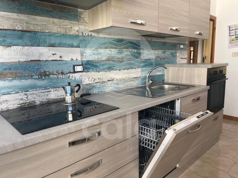 Kitchen or kitchenette, dishwasher, oven, stove