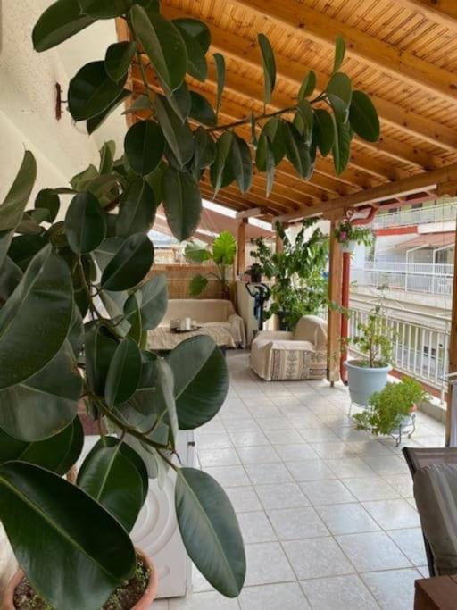 Garden, Balcony/Terrace