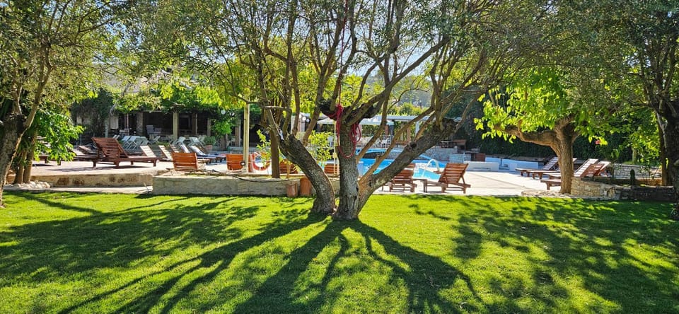 Garden, Garden view, Pool view