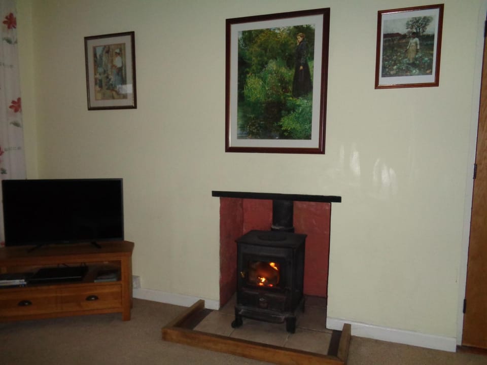 TV and multimedia, fireplace