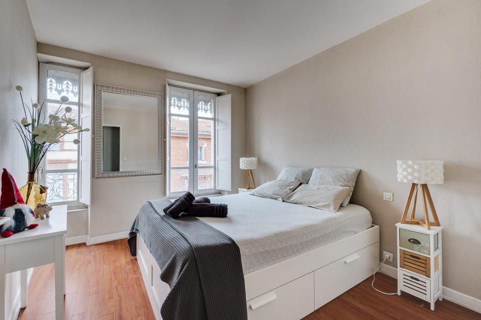 Capitole - Centre ville Apartment in Toulouse